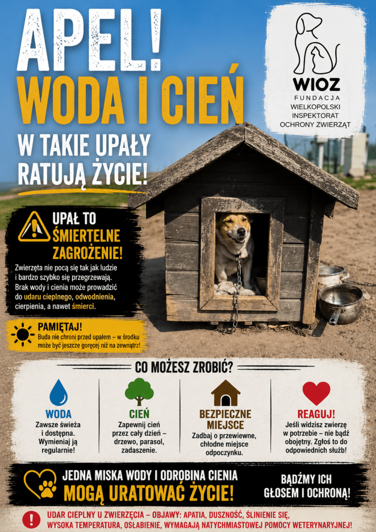 UPAŁY – ZWIERZĘTA – REAGUJMY – INFORMUJMY!